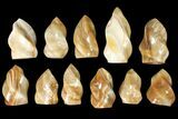 Lot: - Polished, Brown Calcite Flames - Pieces #133859-1